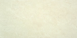 DAIMA BONE 60 x 120